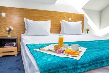 Фото номера Стандартный люкс Отель Park Hotel Asarel г. Панагюриште 4