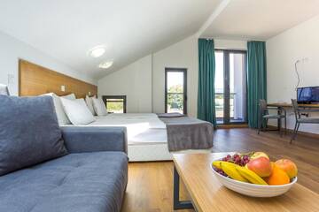 Фото номера Большой двухместный номер с 1 кроватью Отель Park Hotel Asarel г. Панагюриште 7